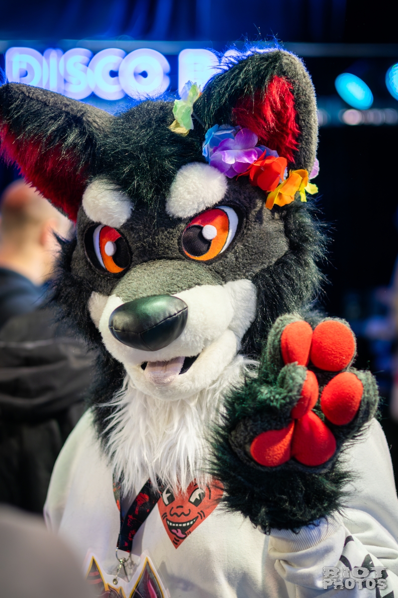 2025-09-13 MancFurs-202509-053.jpg