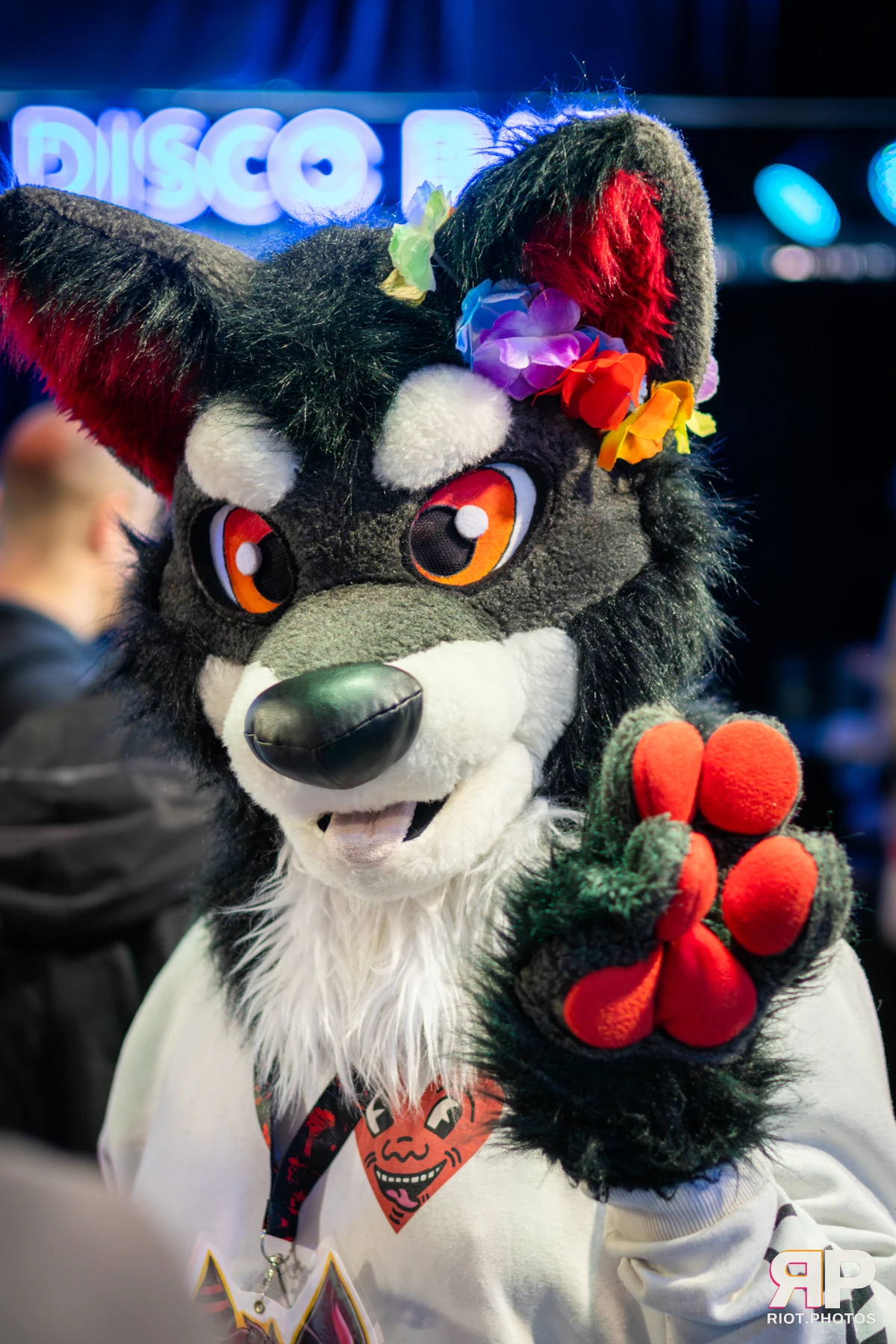 MancFurs - September, 2025 — 13 Sep 2025, Fluffy Riot photography — photo 53