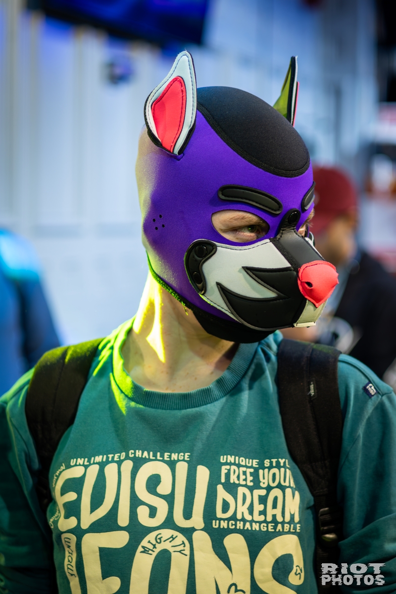 2025-09-13 MancFurs-202509-054.jpg
