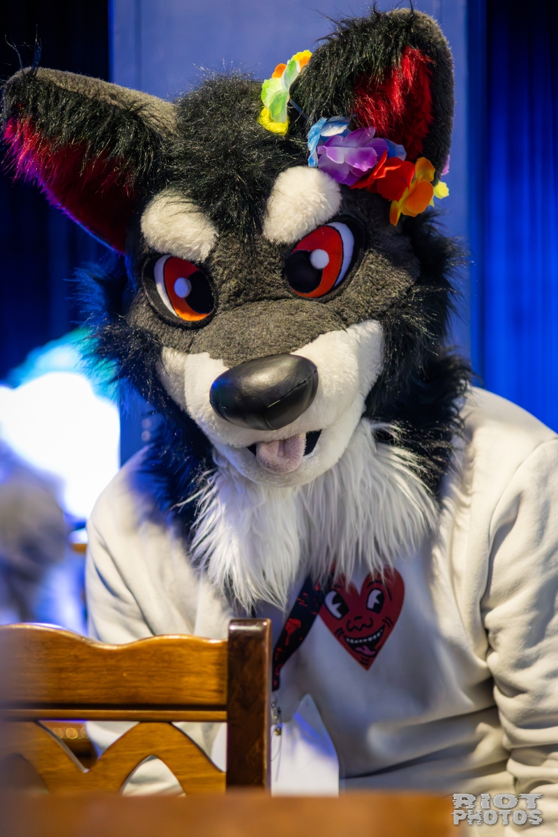 2025-09-13 MancFurs-202509-056.jpg