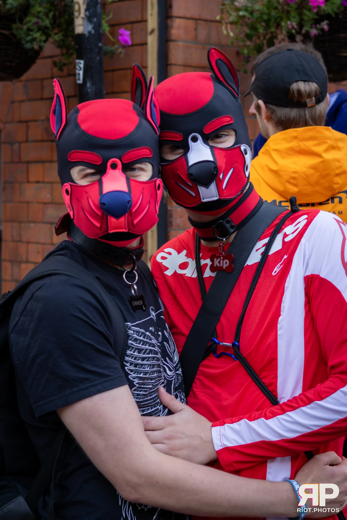 Pup Dande — furry & pup photography by Fluffy Riot — photo 44