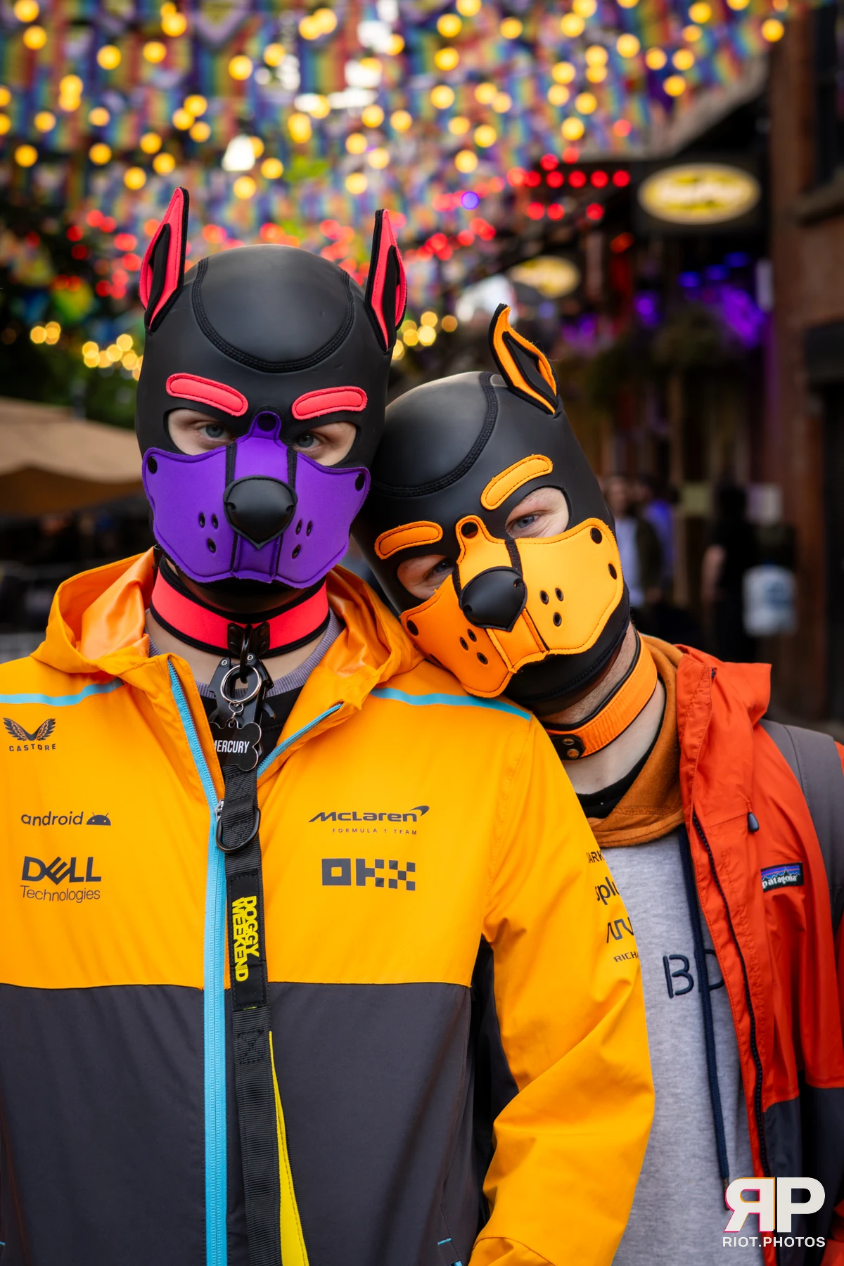 Mercury — furry & pup photography by Fluffy Riot — photo 111