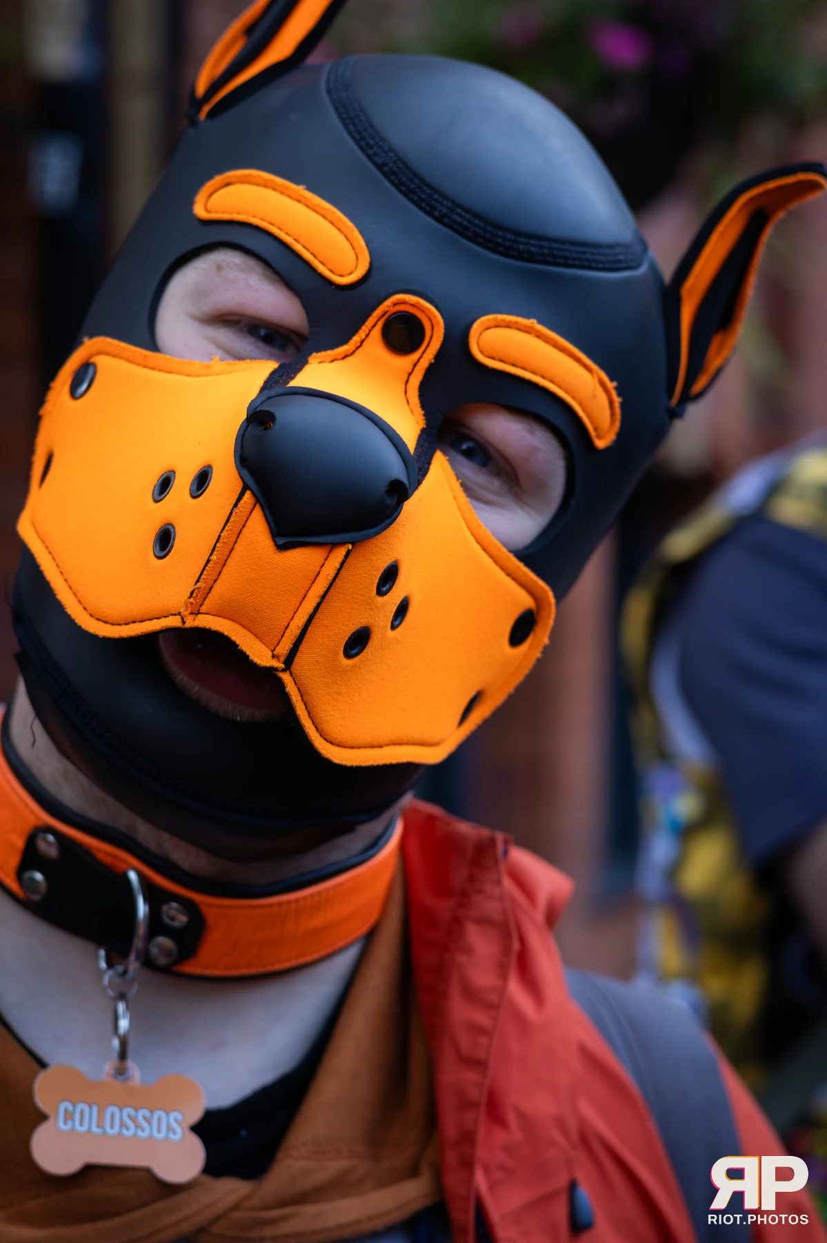 Pup Colossos — furry & pup photography by Fluffy Riot — photo 132