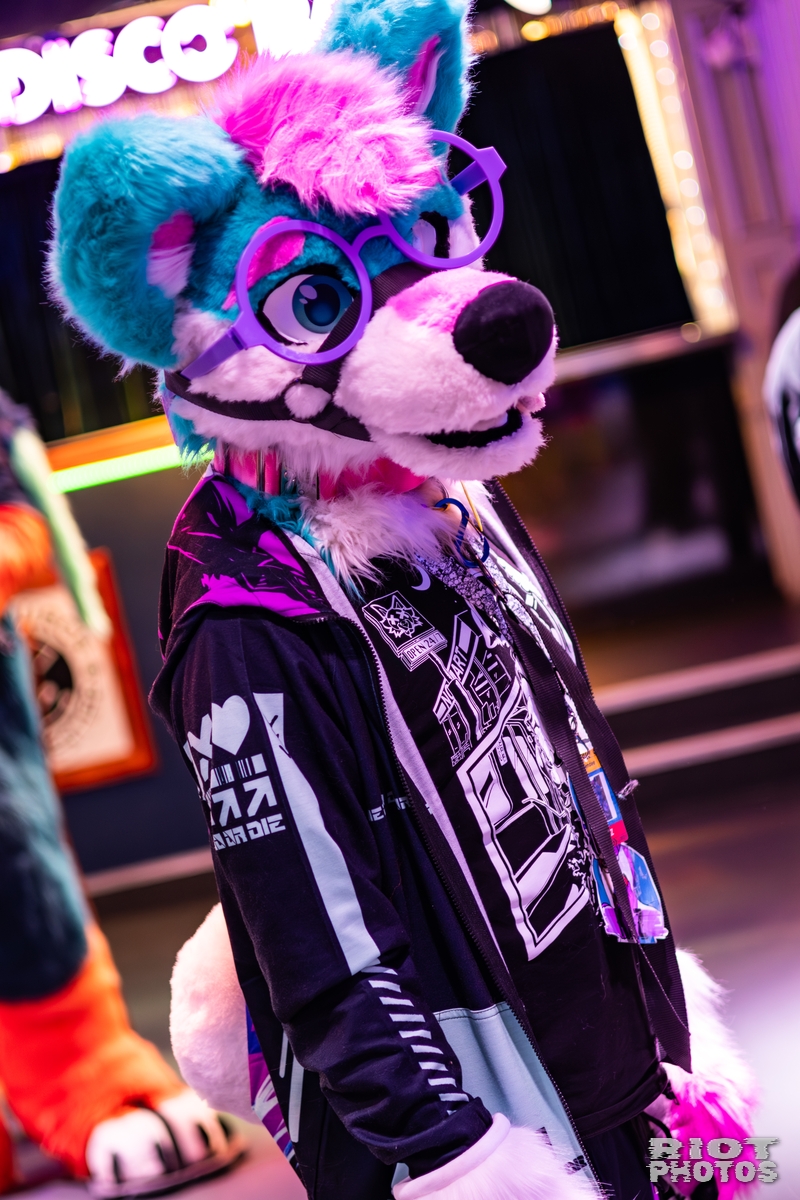 2025-10-11 MancFurs-202510-001.jpg
