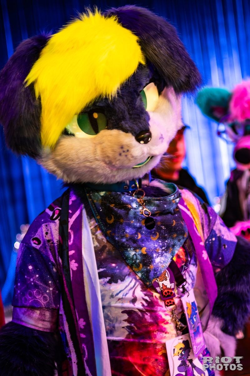2025-10-11 MancFurs-202510-003.jpg