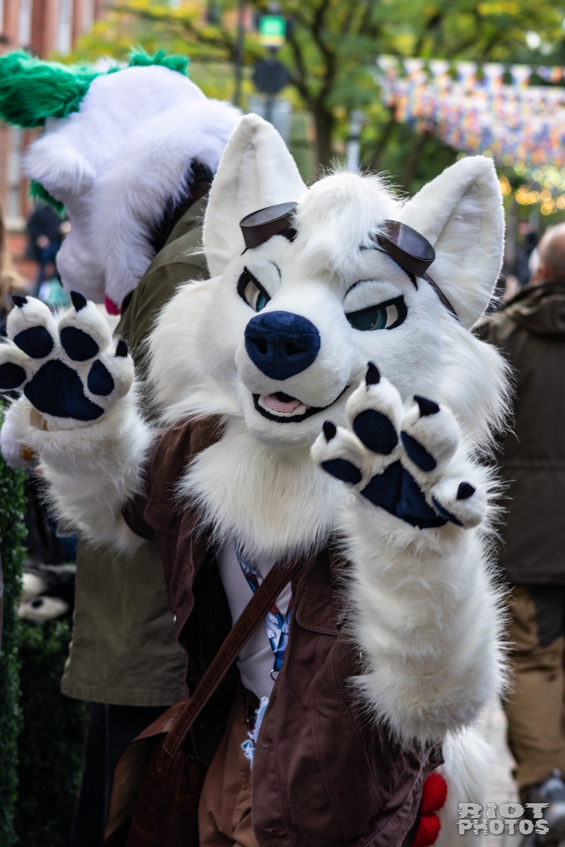 2025-10-11 MancFurs-202510-004.jpg