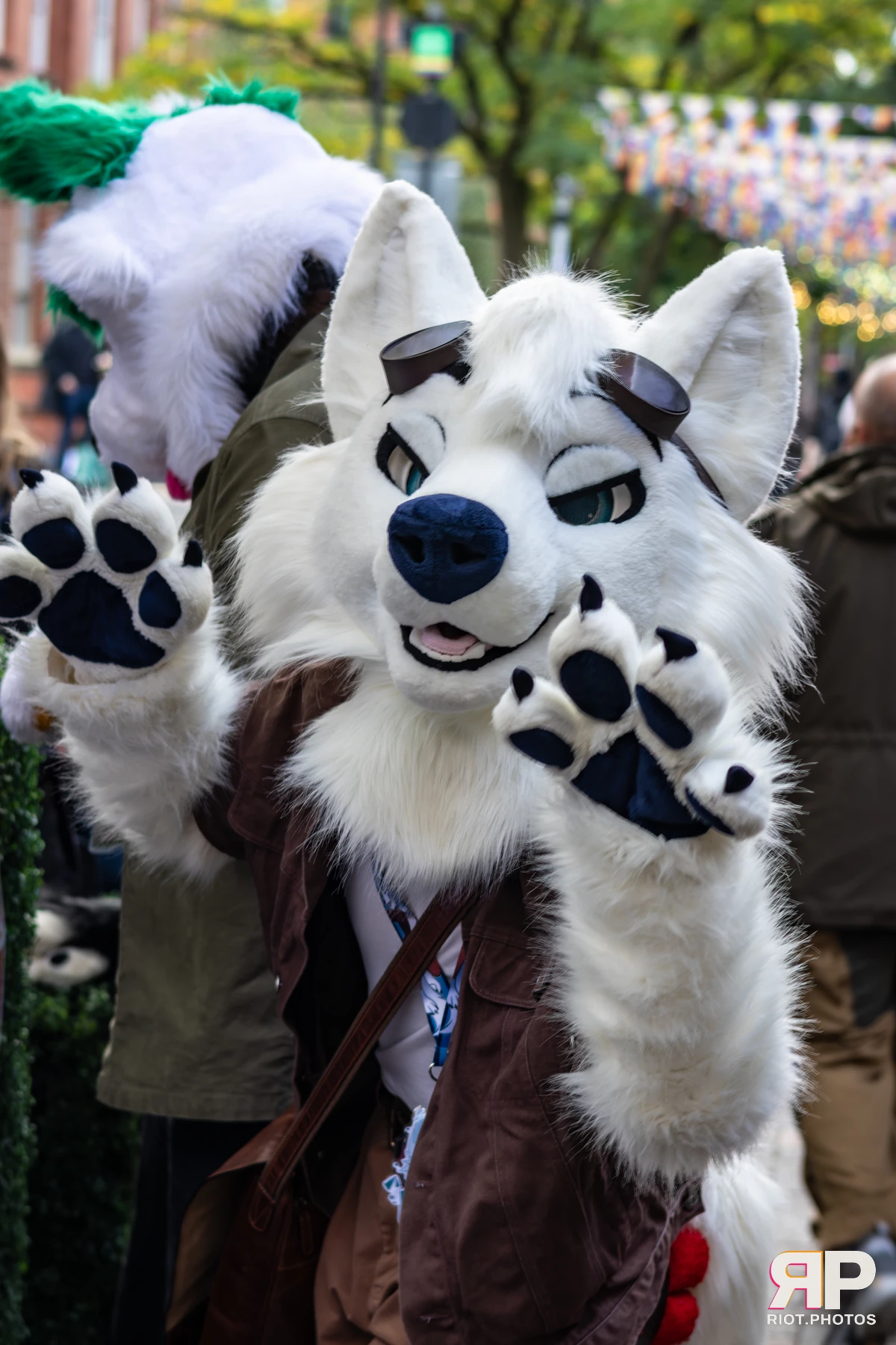 MancFurs - October, 2025 — 11 Oct 2025, Fluffy Riot photography — photo 4