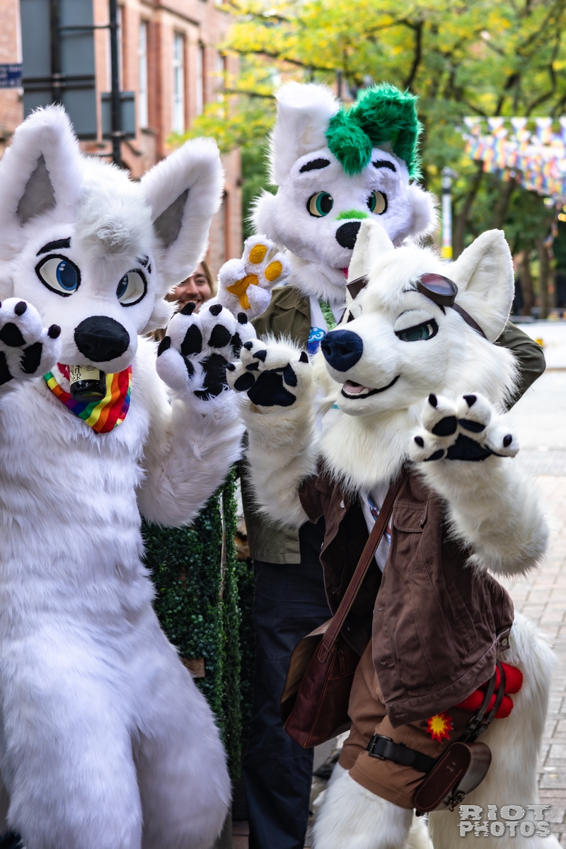 2025-10-11 MancFurs-202510-005.jpg