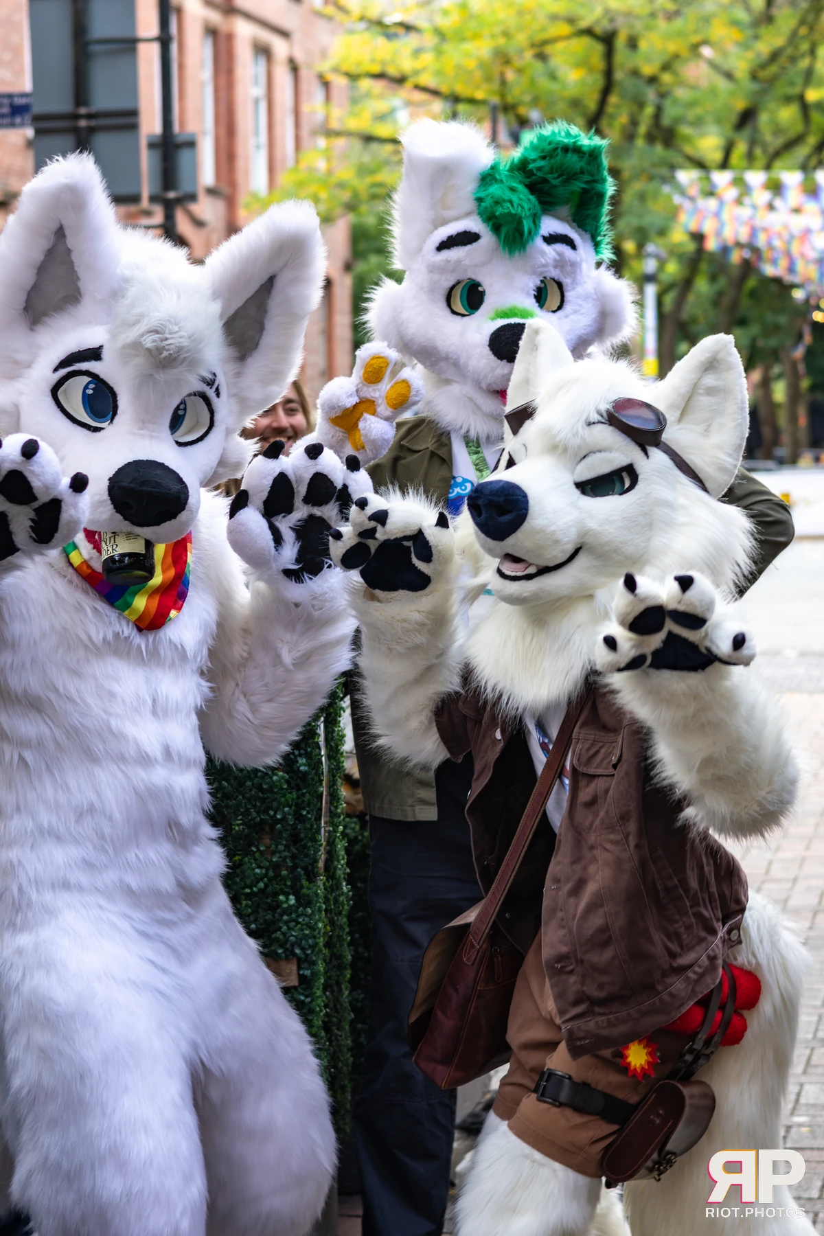 MancFurs - October, 2025 — 11 Oct 2025, Fluffy Riot photography — photo 5