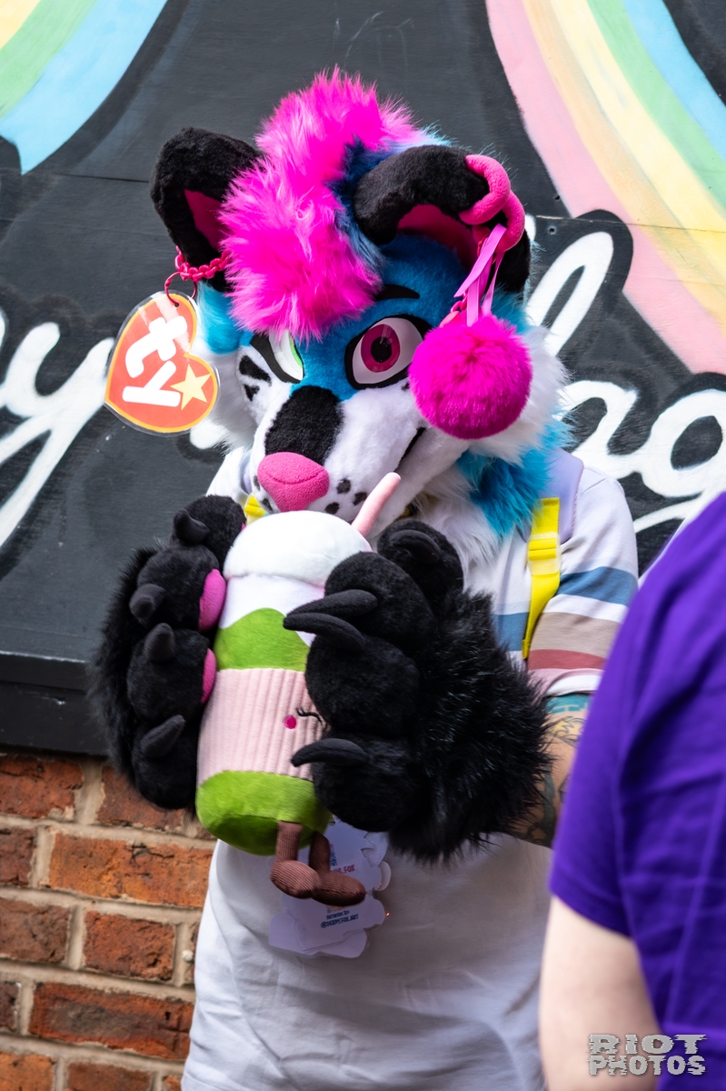2025-10-11 MancFurs-202510-006.jpg
