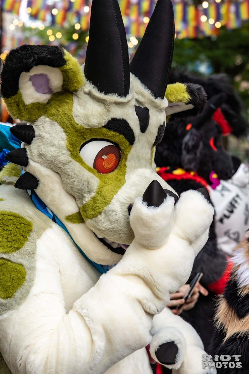 2025-10-11 MancFurs-202510-010.jpg