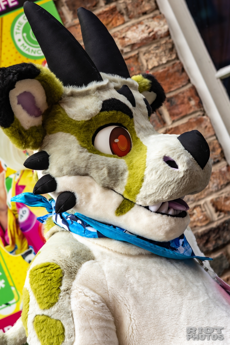 2025-10-11 MancFurs-202510-011.jpg