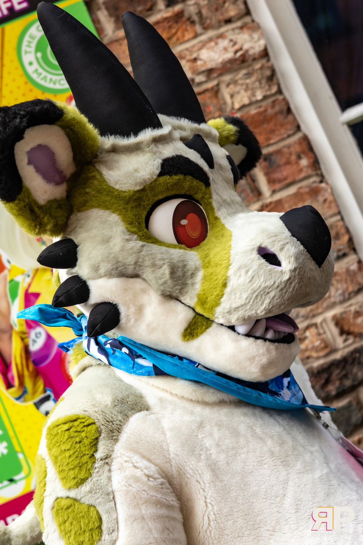 MancFurs - October, 2025 — 11 Oct 2025, Fluffy Riot photography — photo 11