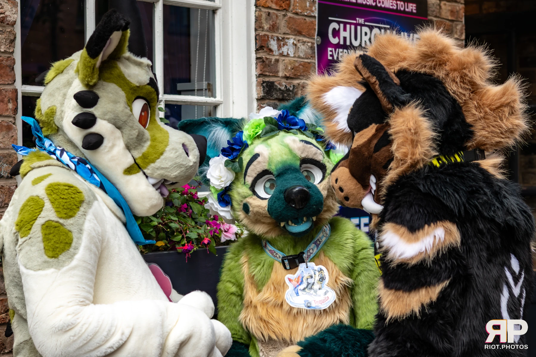 MancFurs - October, 2025 — 11 Oct 2025, Fluffy Riot photography — photo 12