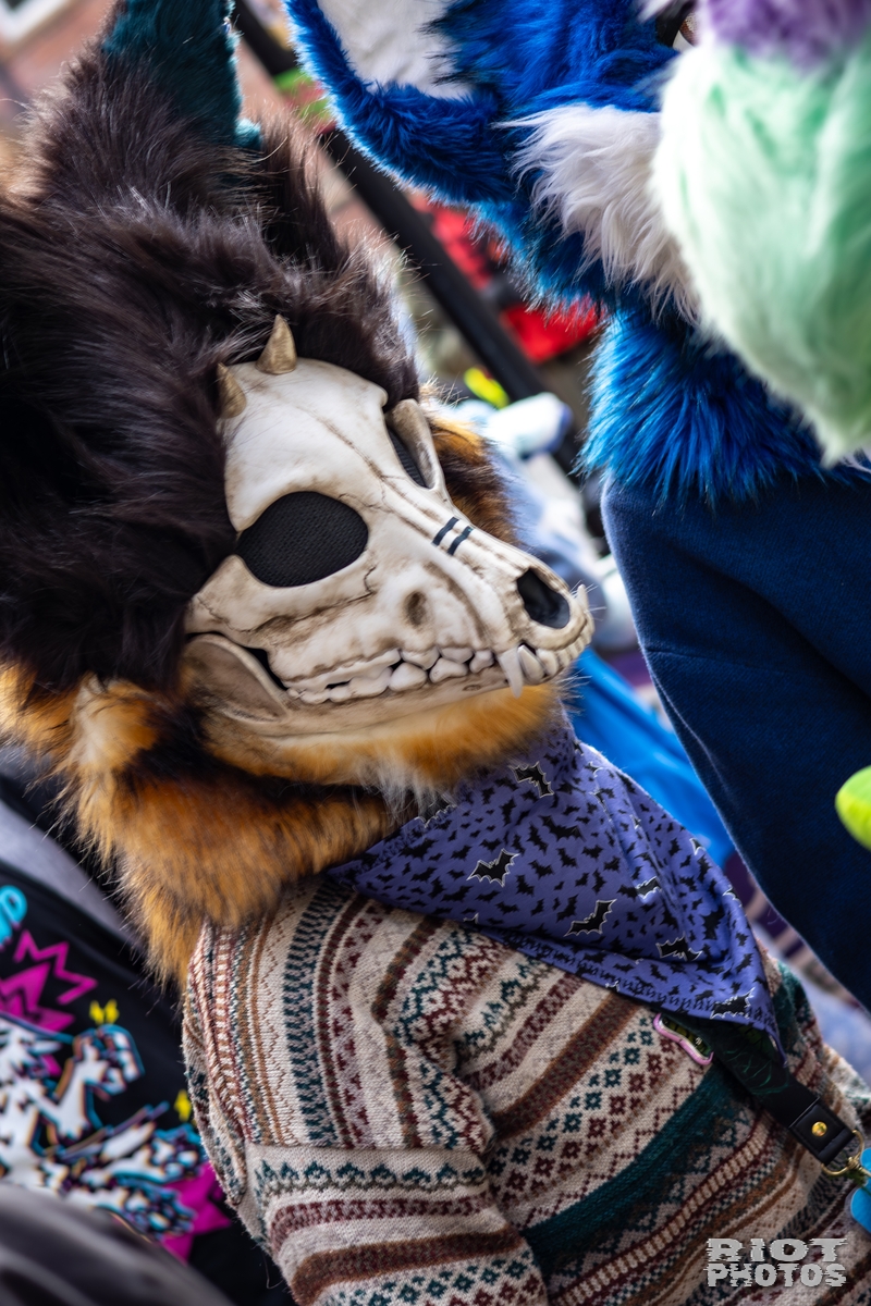 2025-10-11 MancFurs-202510-014.jpg