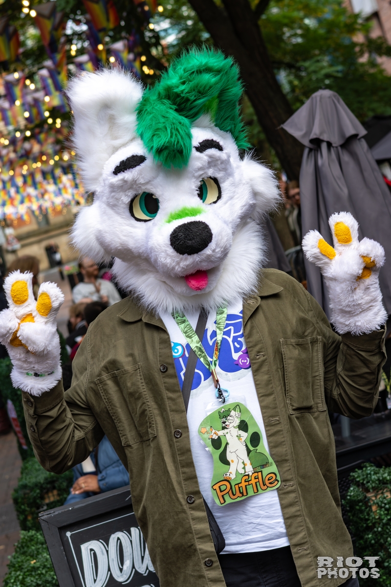 2025-10-11 MancFurs-202510-015.jpg