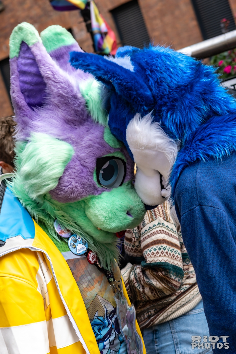 2025-10-11 MancFurs-202510-016.jpg
