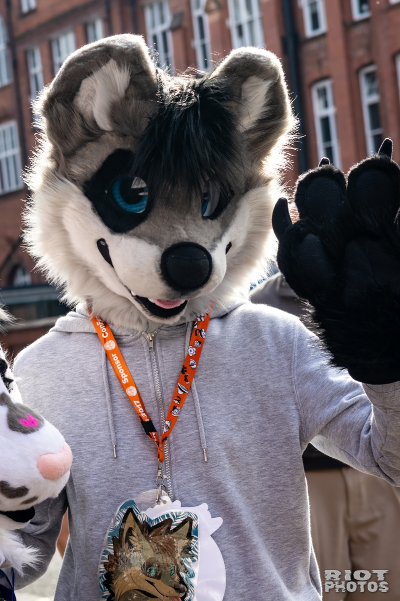 2025-10-11 MancFurs-202510-018.jpg