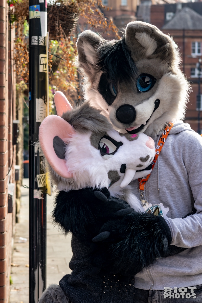 2025-10-11 MancFurs-202510-019.jpg
