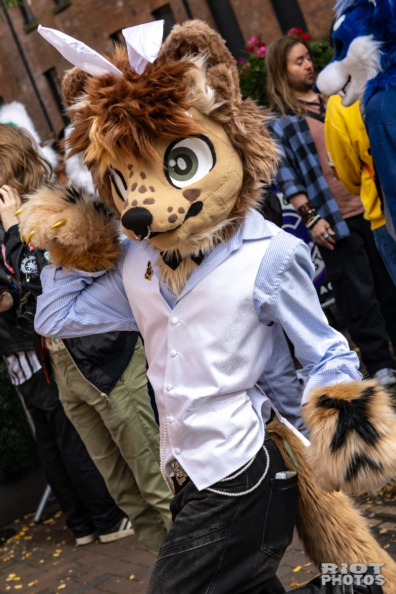 2025-10-11 MancFurs-202510-020.jpg
