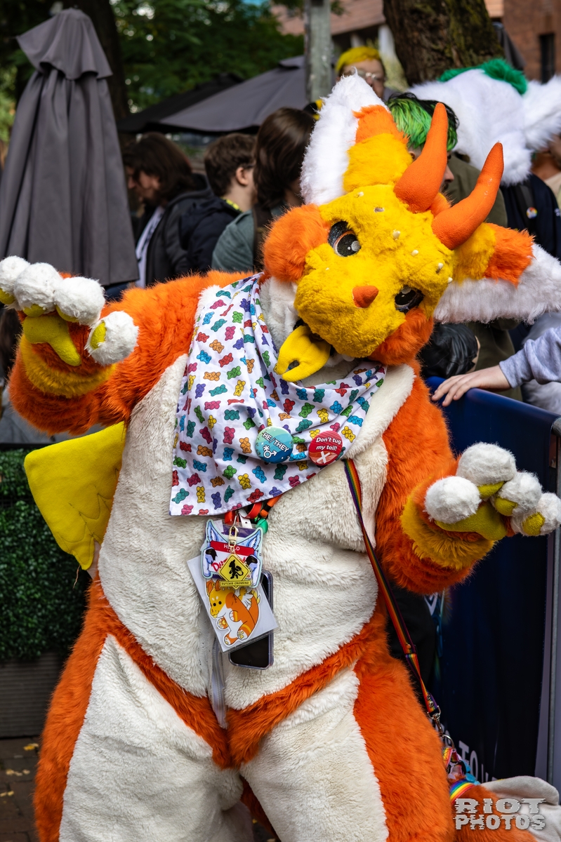 2025-10-11 MancFurs-202510-021.jpg