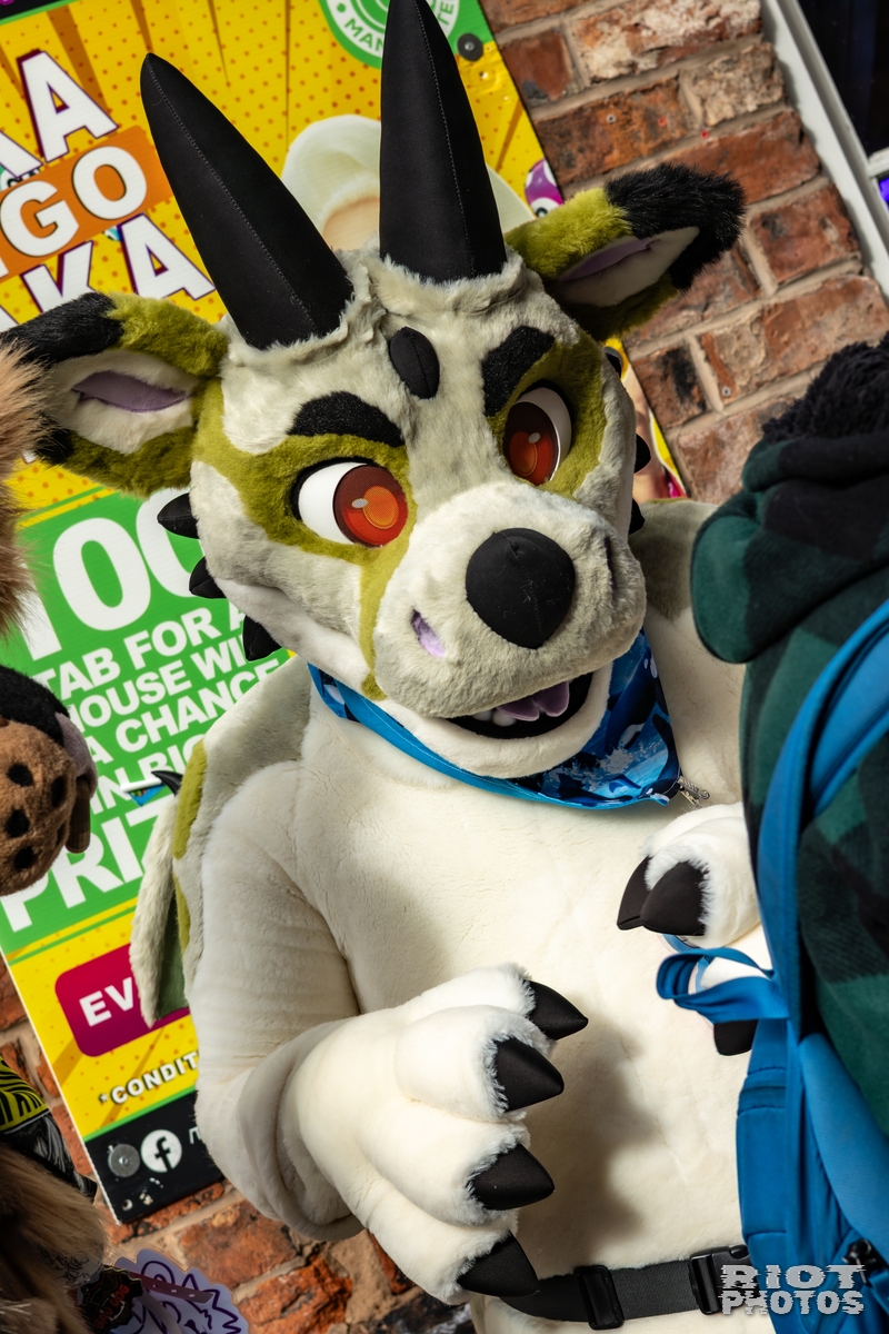2025-10-11 MancFurs-202510-022.jpg