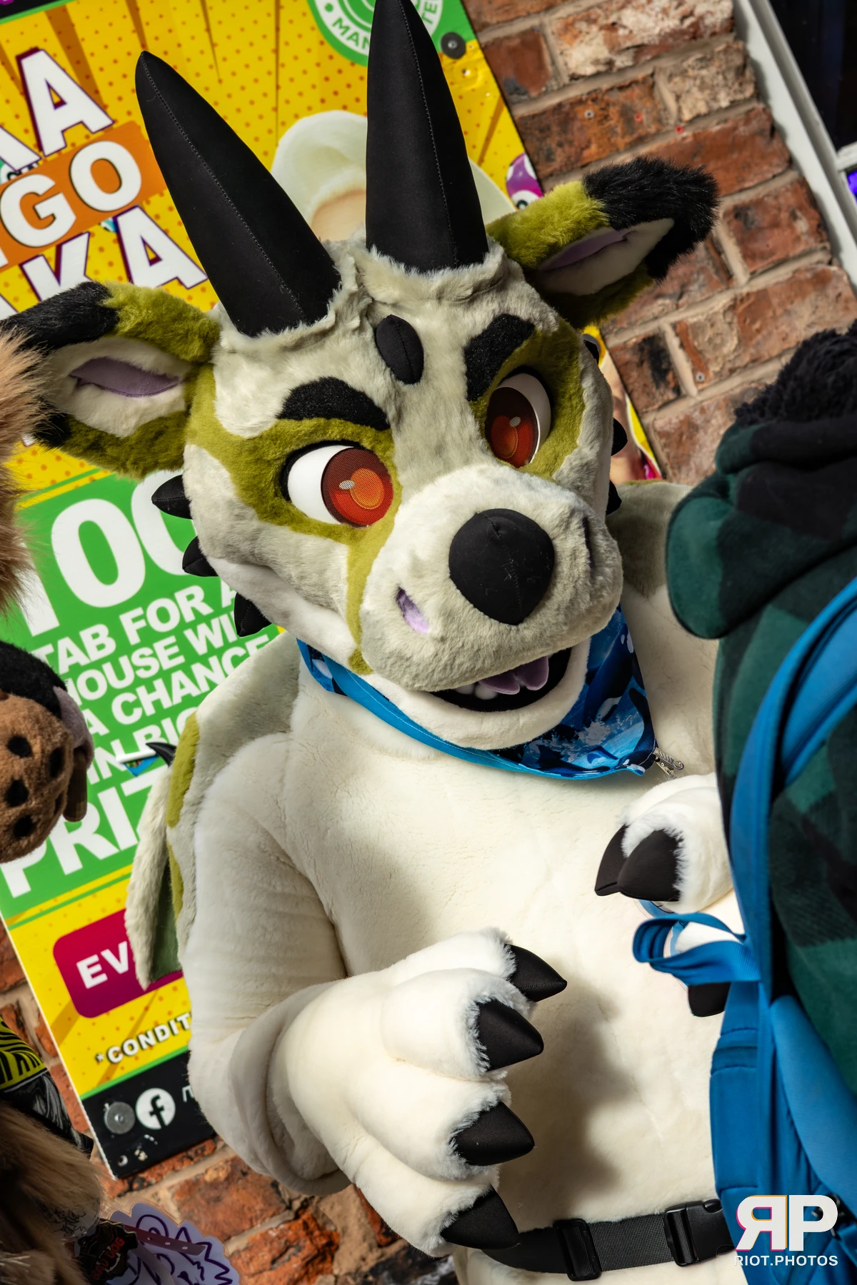 MancFurs - October, 2025 — 11 Oct 2025, Fluffy Riot photography — photo 22