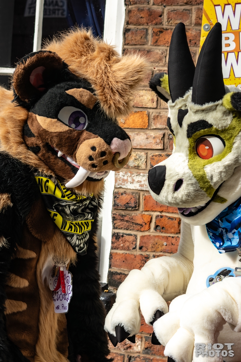2025-10-11 MancFurs-202510-023.jpg