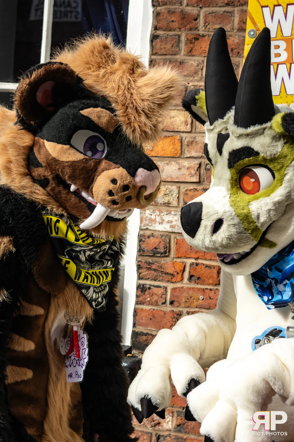 MancFurs - October, 2025 — 11 Oct 2025, Fluffy Riot photography — photo 23