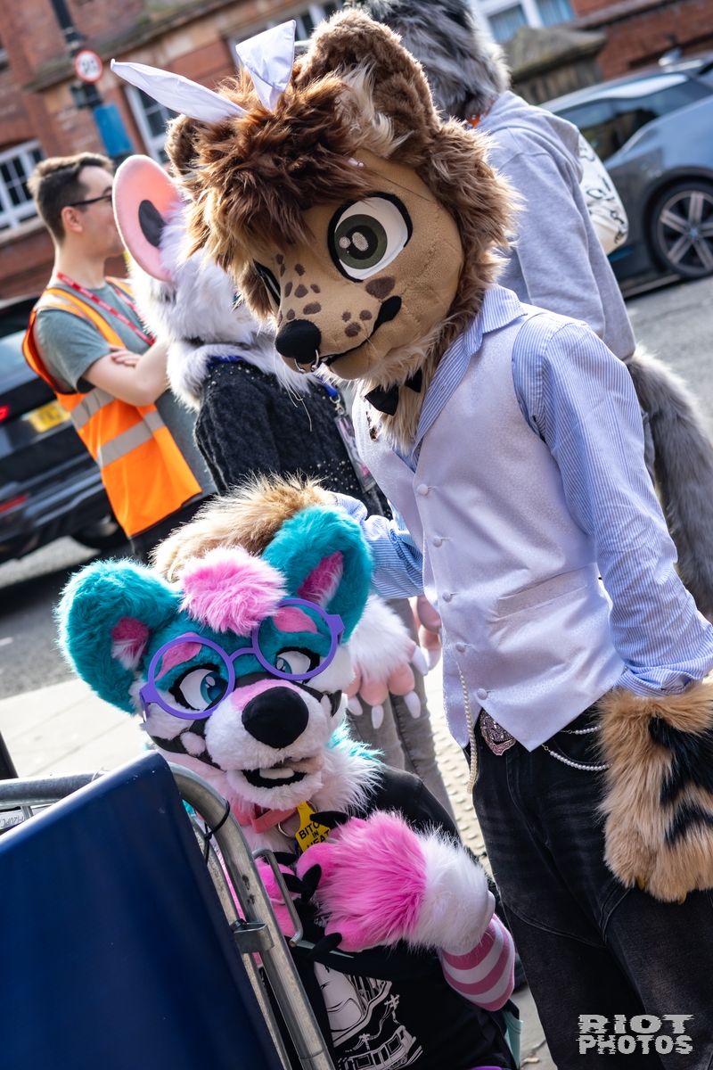 2025-10-11 MancFurs-202510-024.jpg