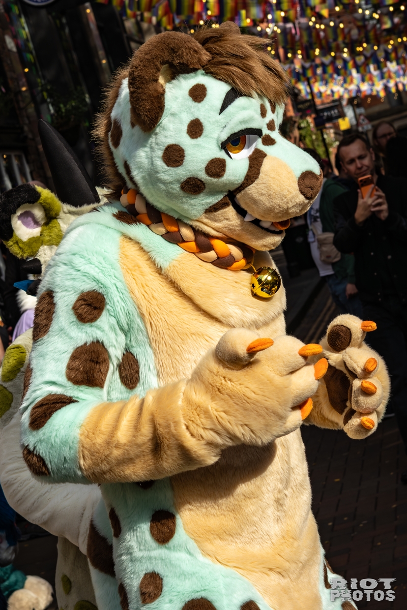 2025-10-11 MancFurs-202510-025.jpg