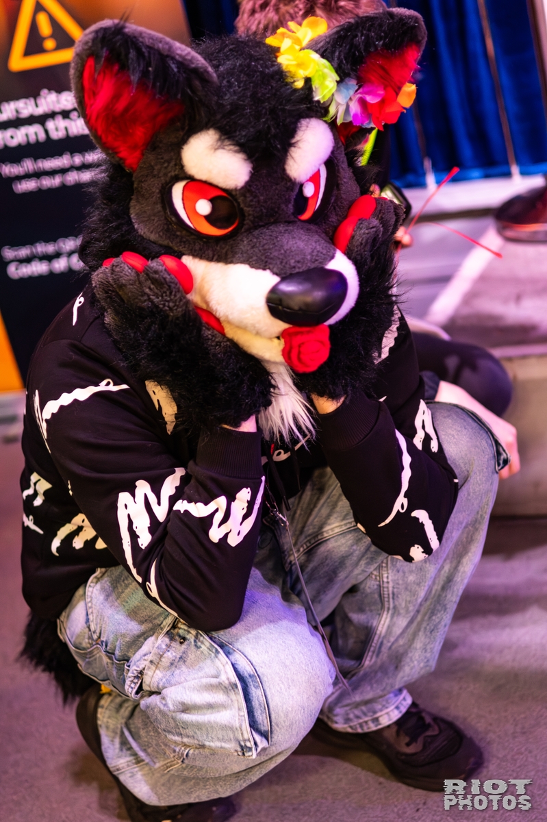 2025-10-11 MancFurs-202510-026.jpg
