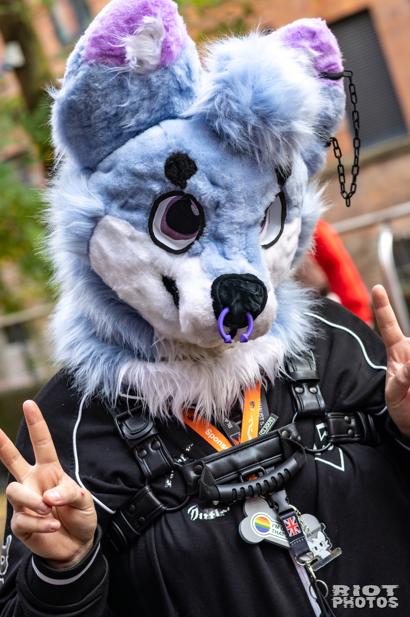 2025-10-11 MancFurs-202510-027.jpg