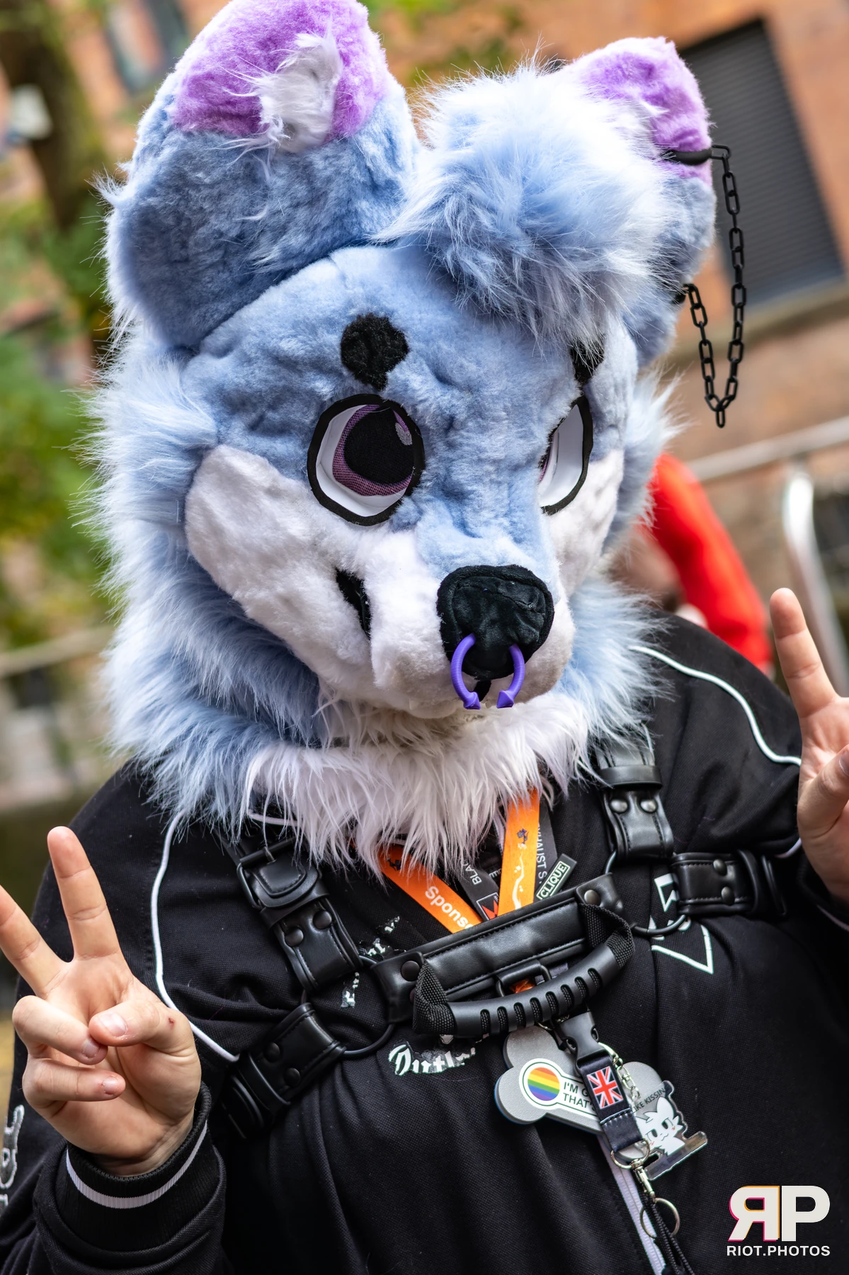 MancFurs - October, 2025 — 11 Oct 2025, Fluffy Riot photography — photo 27