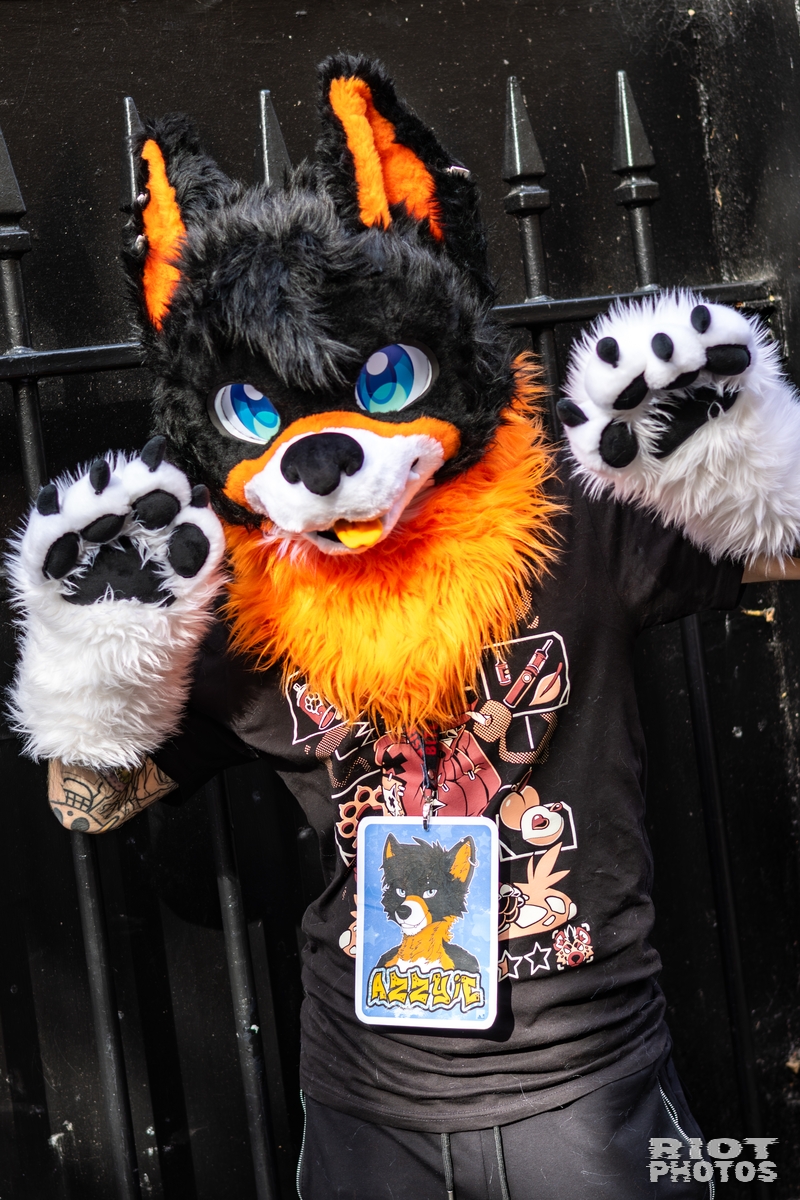 2025-10-11 MancFurs-202510-029.jpg