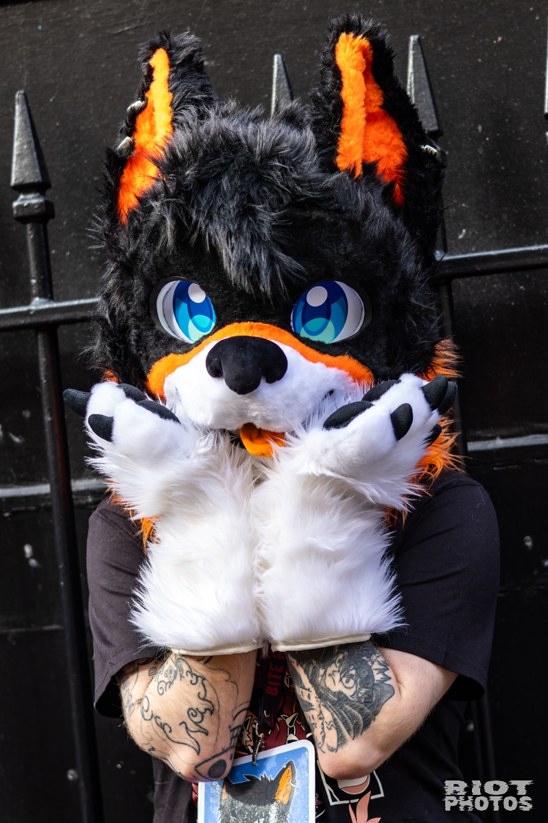 2025-10-11 MancFurs-202510-030.jpg