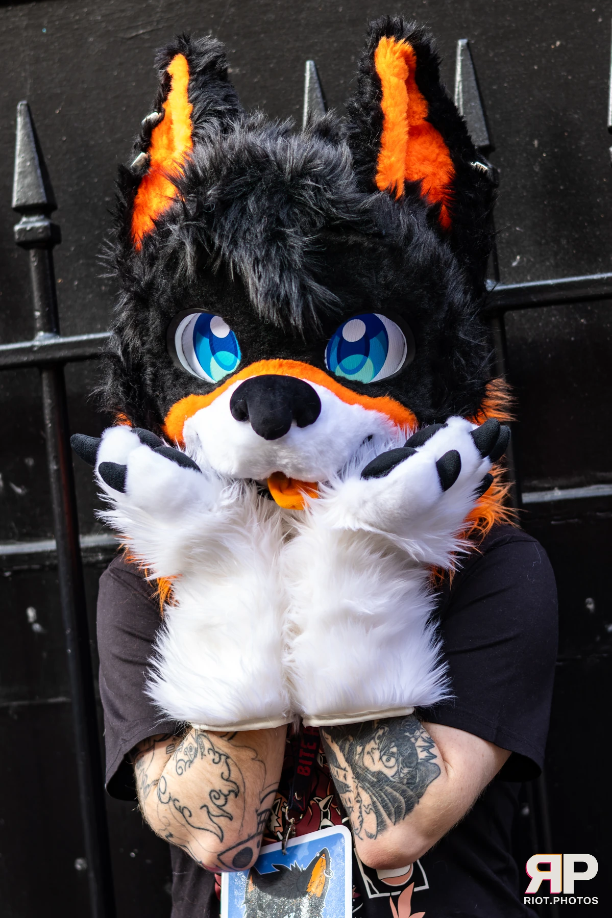 MancFurs - October, 2025 — 11 Oct 2025, Fluffy Riot photography — photo 30