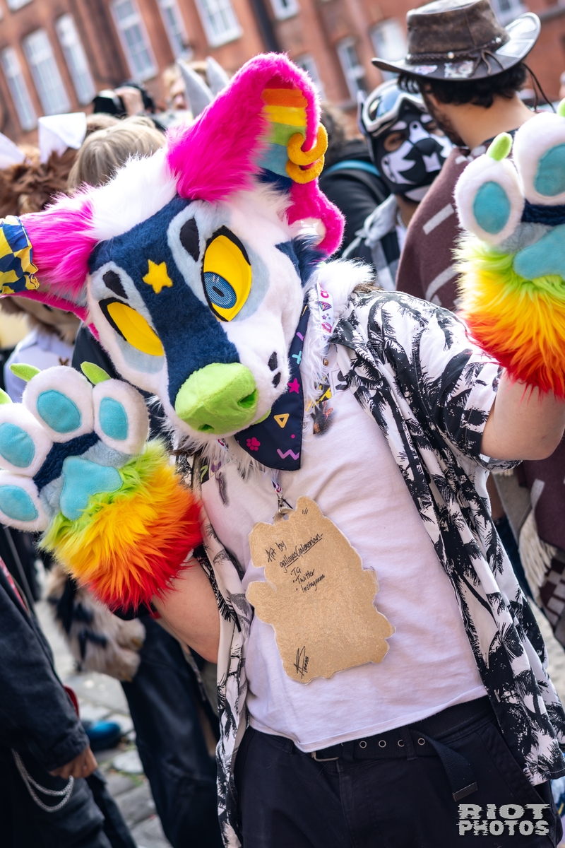2025-10-11 MancFurs-202510-033.jpg