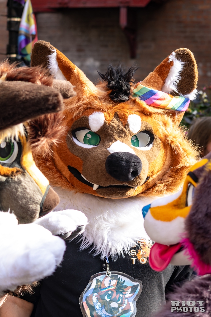 2025-10-11 MancFurs-202510-034.jpg