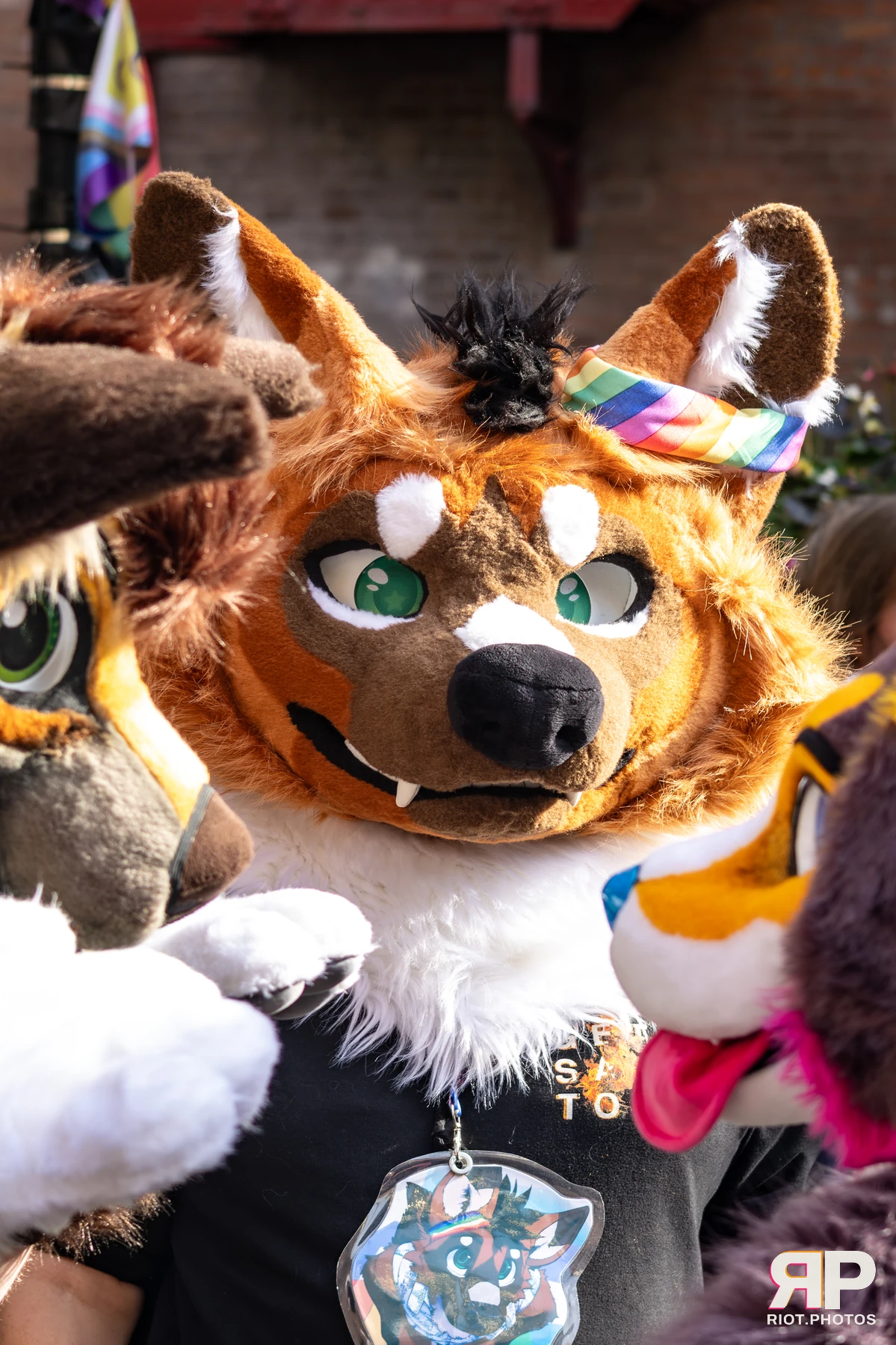 MancFurs - October, 2025 — 11 Oct 2025, Fluffy Riot photography — photo 34