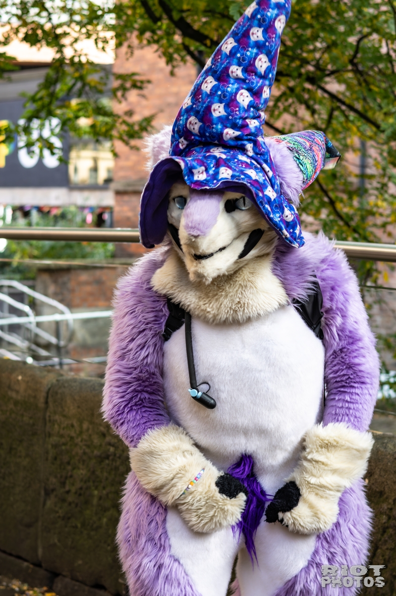 2025-10-11 MancFurs-202510-035.jpg