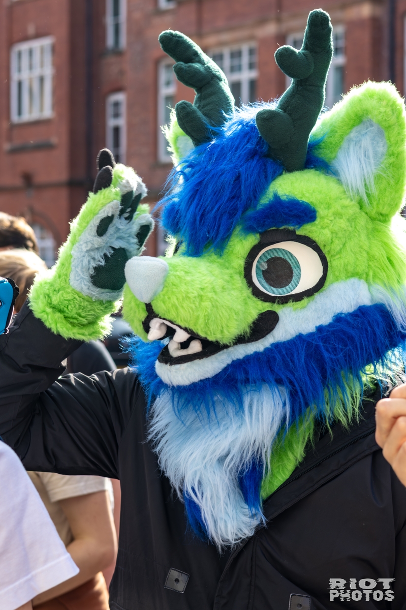2025-10-11 MancFurs-202510-036.jpg