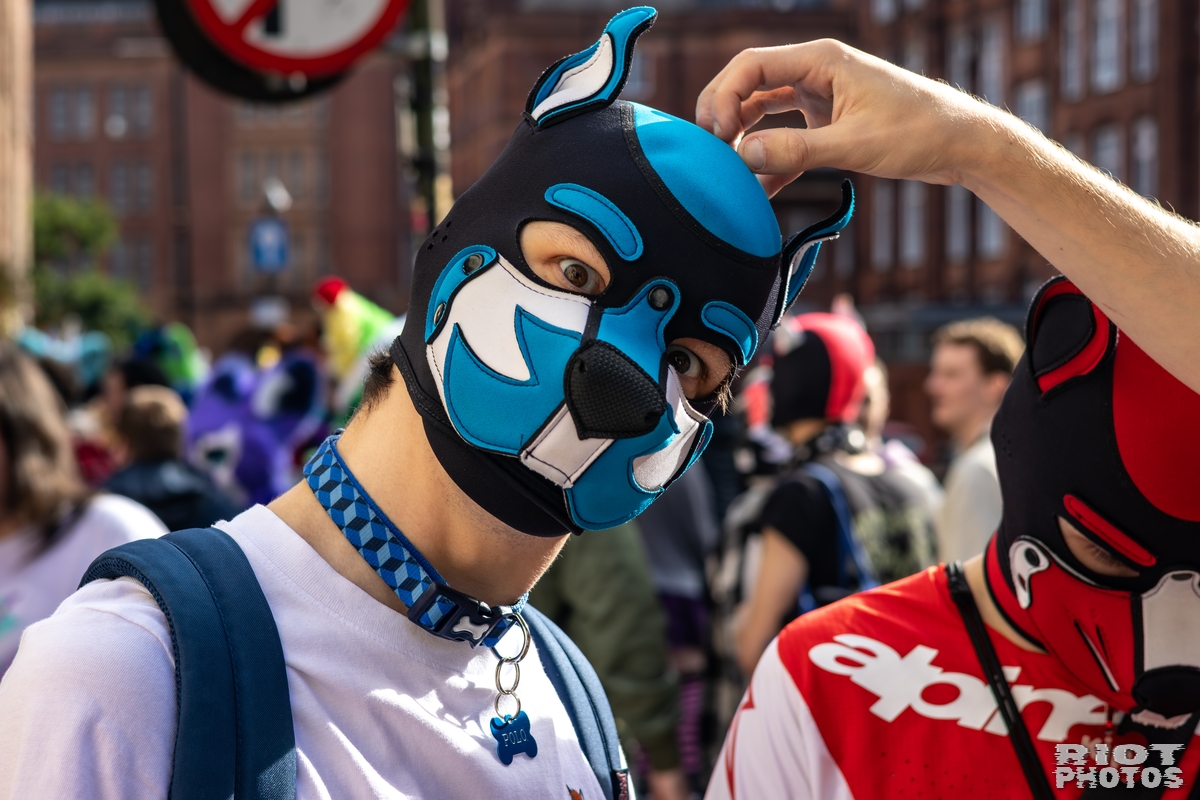 2025-10-11 MancFurs-202510-039.jpg