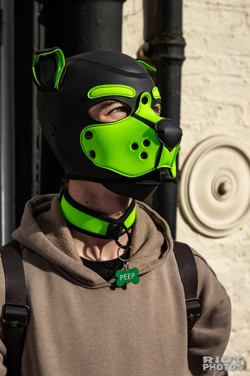 2025-10-11 MancFurs-202510-041.jpg