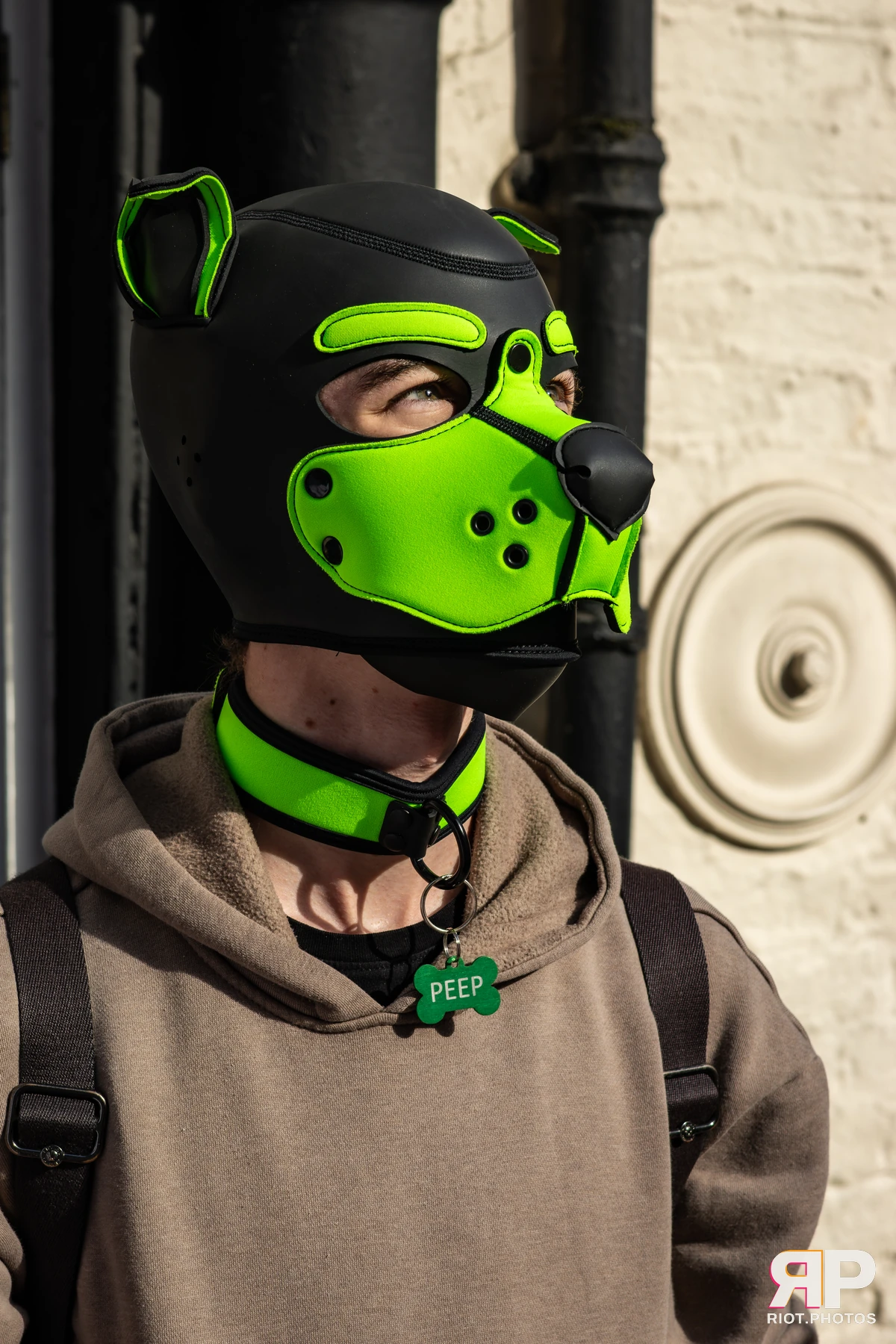 MancFurs - October, 2025 — 11 Oct 2025, Fluffy Riot photography — photo 41