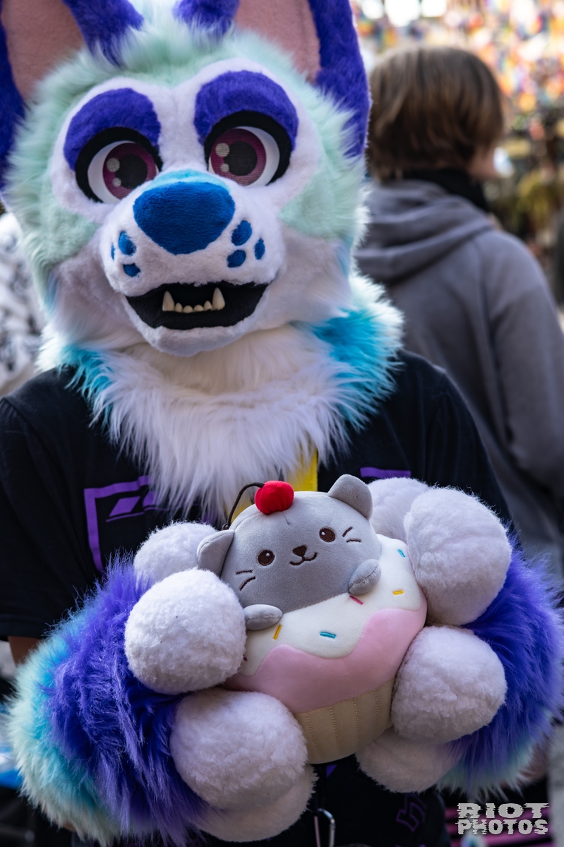 2025-10-11 MancFurs-202510-042.jpg