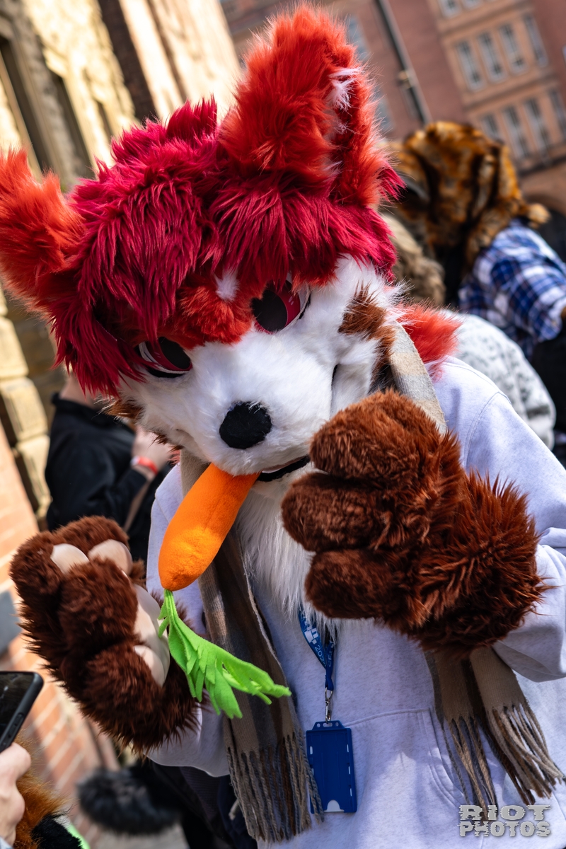 2025-10-11 MancFurs-202510-044.jpg
