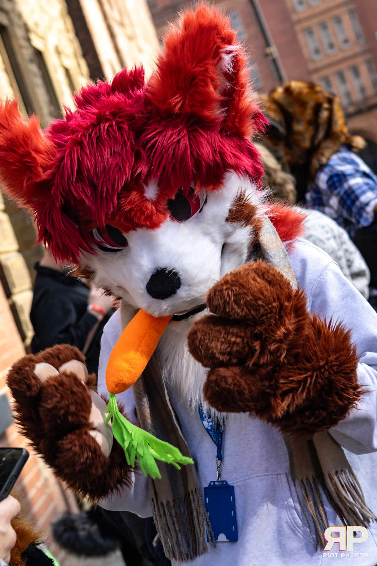 MancFurs - October, 2025 — 11 Oct 2025, Fluffy Riot photography — photo 44
