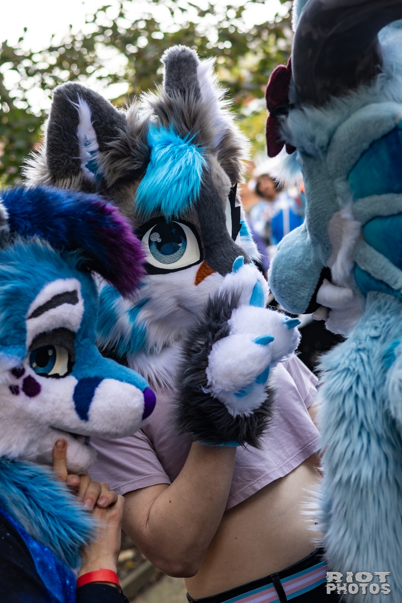 2025-10-11 MancFurs-202510-045.jpg