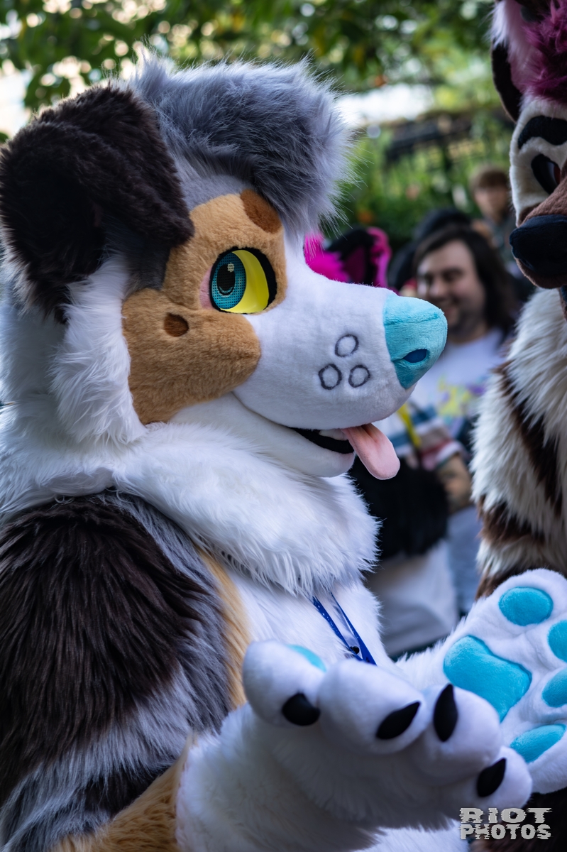 2025-10-11 MancFurs-202510-047.jpg